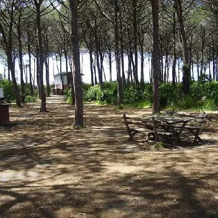 Rosmari Bilo 06